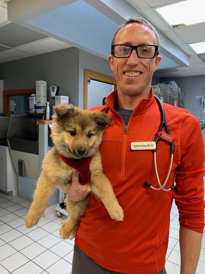 Dr. Robert Jung, DVM, holding a puppy in the clinic