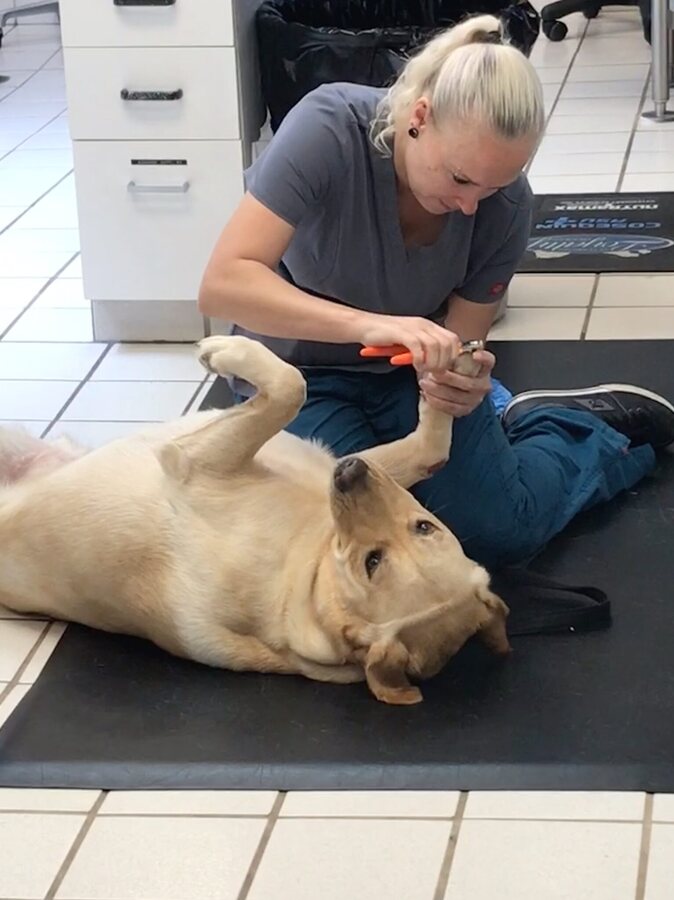 Sabra Whitlock, Veterinary Assistant